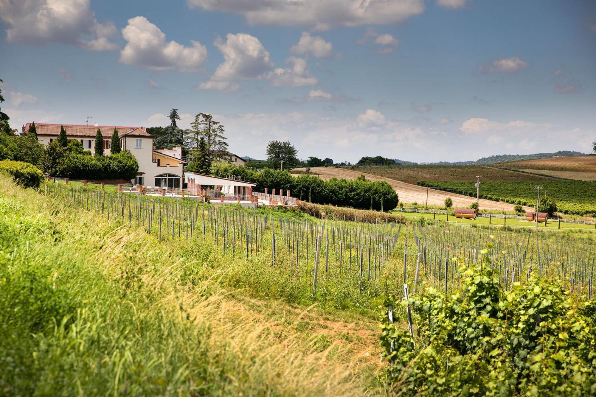 Belvedere Monferrato Relais & Wellness Hotel Vignale Kültér fotó