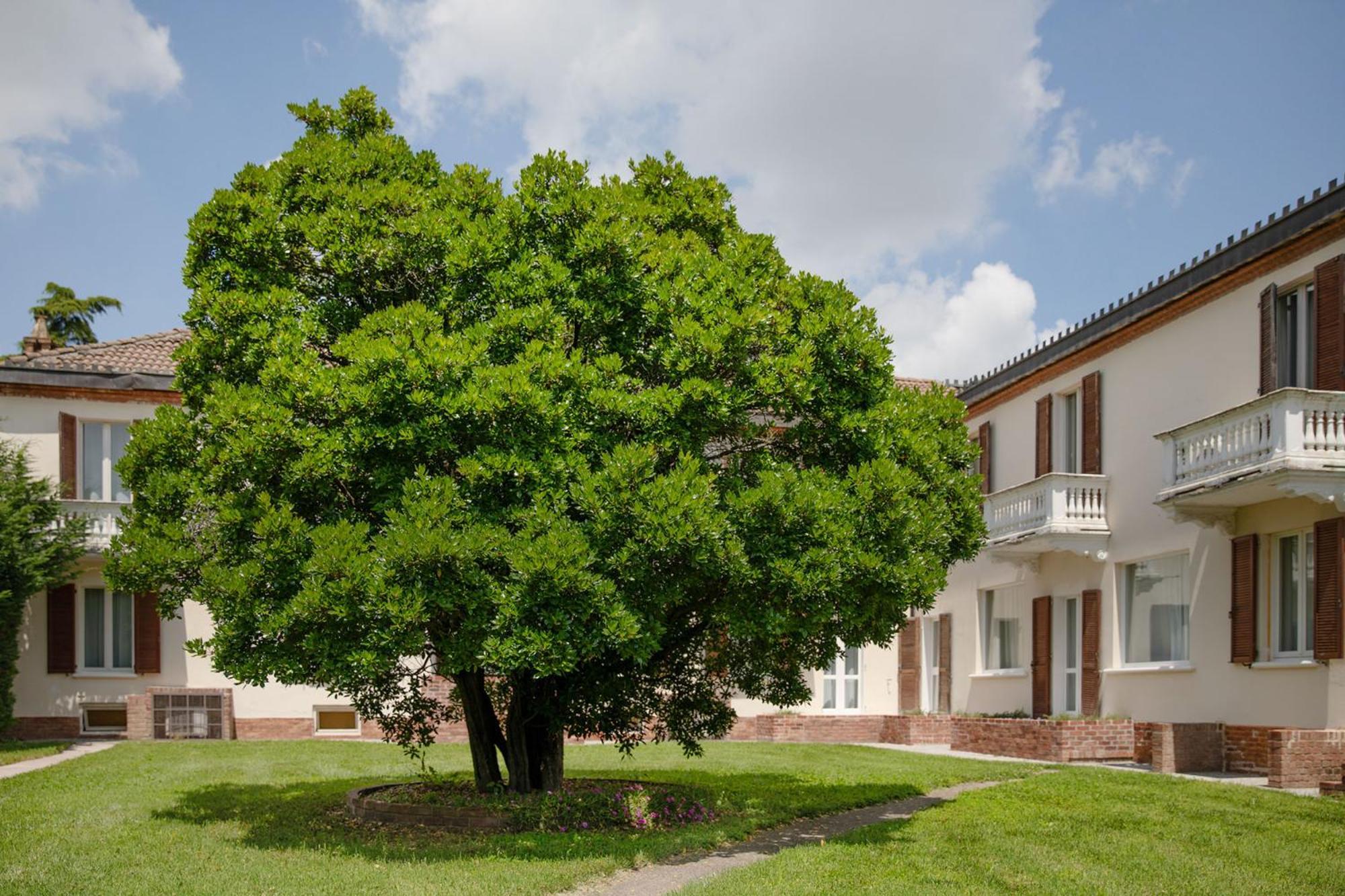 Belvedere Monferrato Relais & Wellness Hotel Vignale Kültér fotó